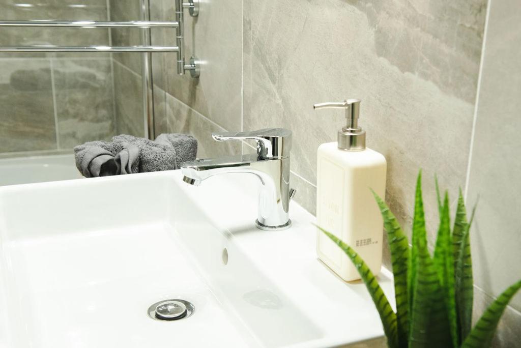 Alternativ 1 Residence ティミショアラ エクステリア 写真